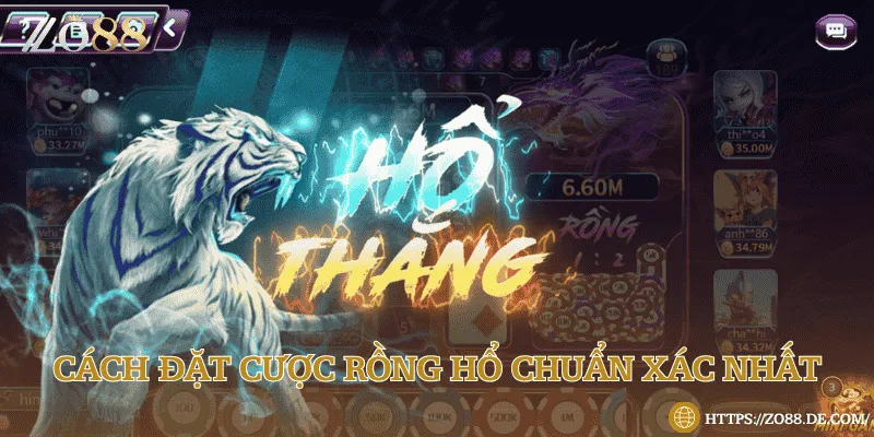 Các cách cược Rồng hổ để giành chiến thắng dễ dàng