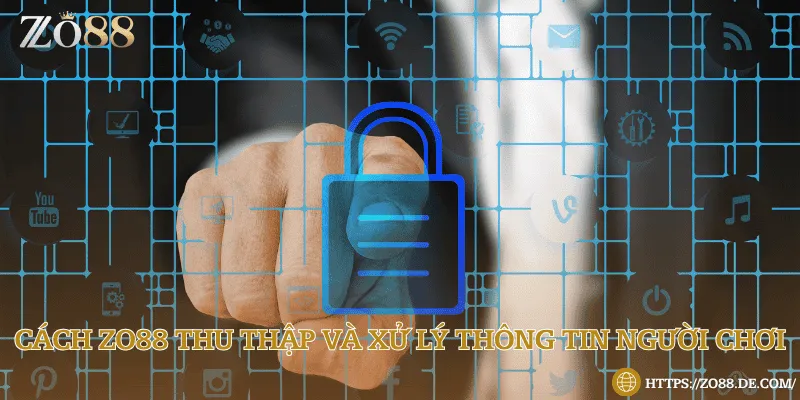 Cách Zo88 thu thập và xử lý thông tin người chơi