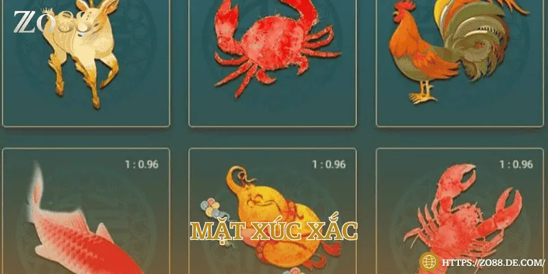 Dự đoán mặt xúc xắc khi xóc bầu cua