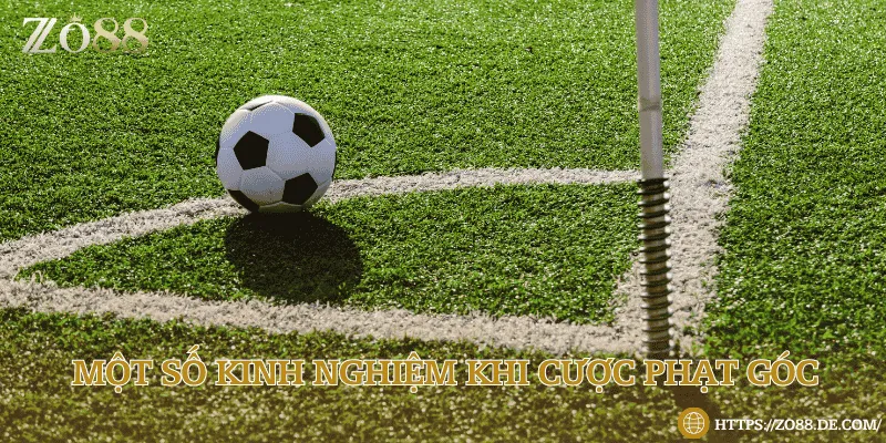 Kèo phạt góc là gì? Các loại kèo thường gặp Soi kèo dựa trên lực lượng thi đấu, điều kiện sân bóng