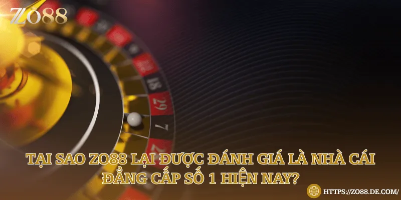 Lý do Zo88 được ưa chuộng đến thế